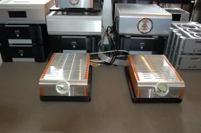 Dan D'Agostino Momentum 300 monoblocks (pair)
