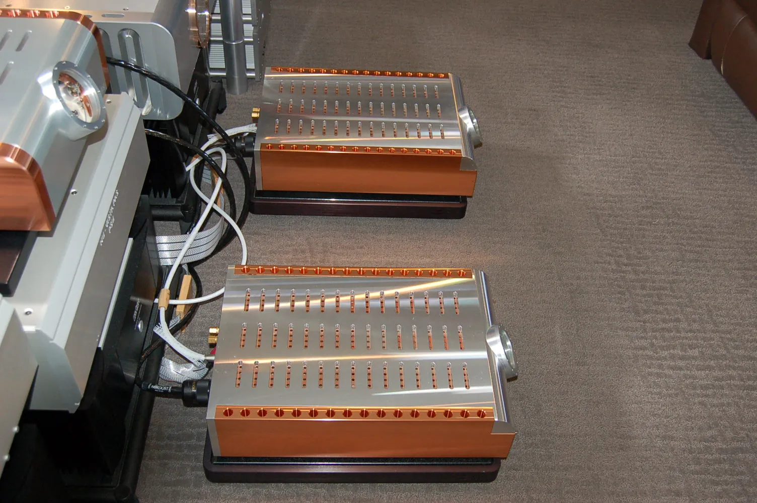 Dan D'Agostino Momentum 300 monoblocks (pair)
