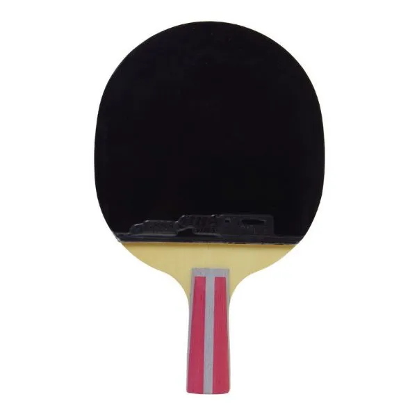 DHS -  Table Tennis Racket 4 stars Short Handle, In (Two Sides) (4006)