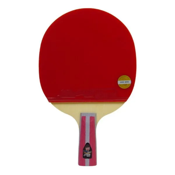 DHS -  Table Tennis Racket 4 stars Short Handle, In (Two Sides) (4006)