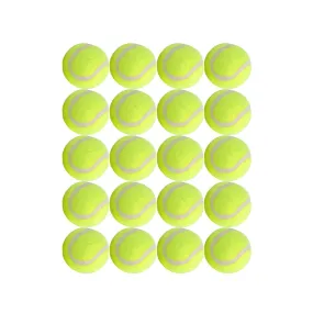 Dog Tennis Balls 20 Pack Pet Tennis Ball for Small Dogs Premium Fetch Toy Non-Toxic Non-Abrasive Material
