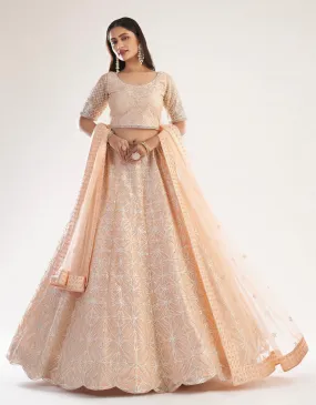Elegant Peach Net Bridal Lehenga with Ribbon Gota Work and Heavy Zarkan Embellishments