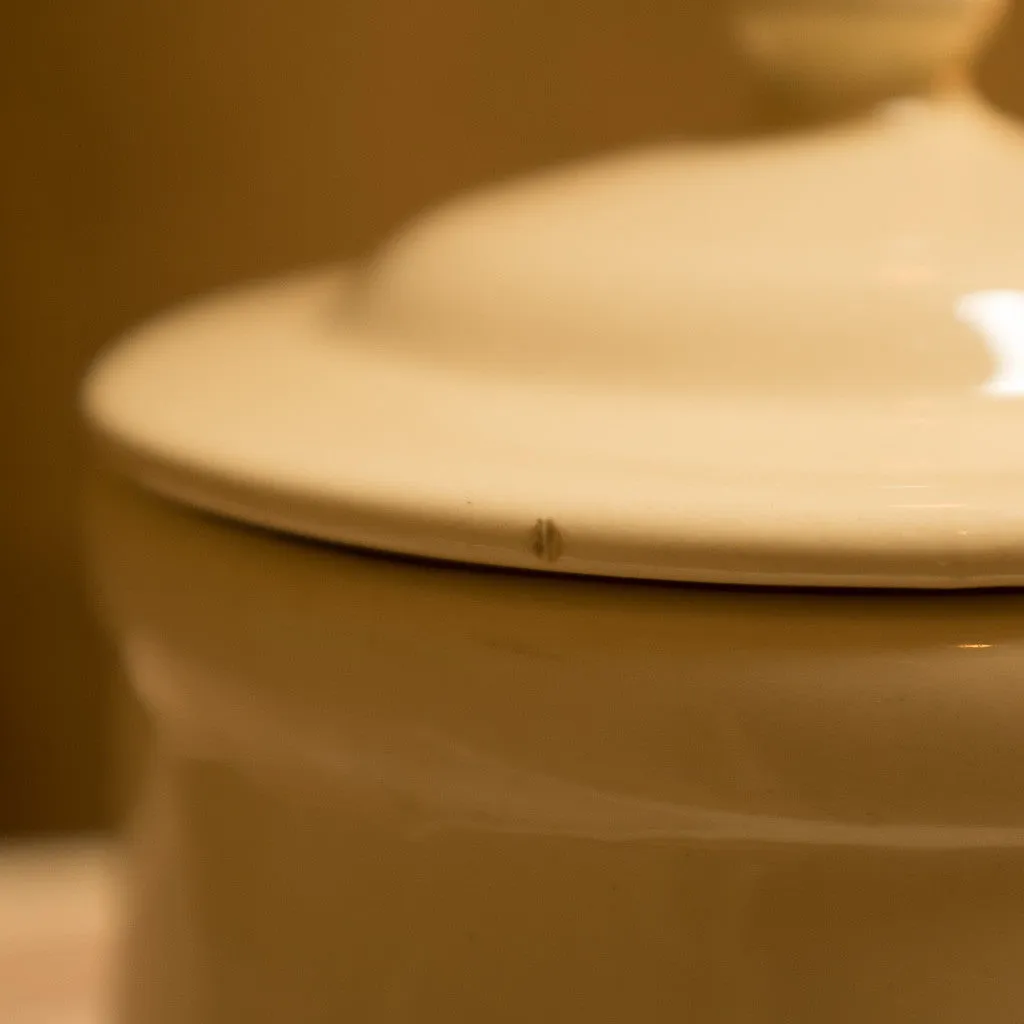 Ginny's McCoy cookie jar