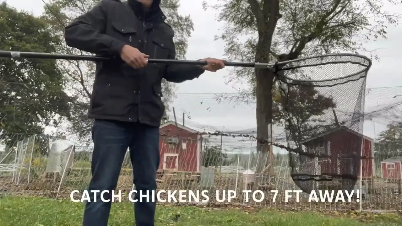 RentACoop Chicken Catcher 5000 – Poultry Catching Net
